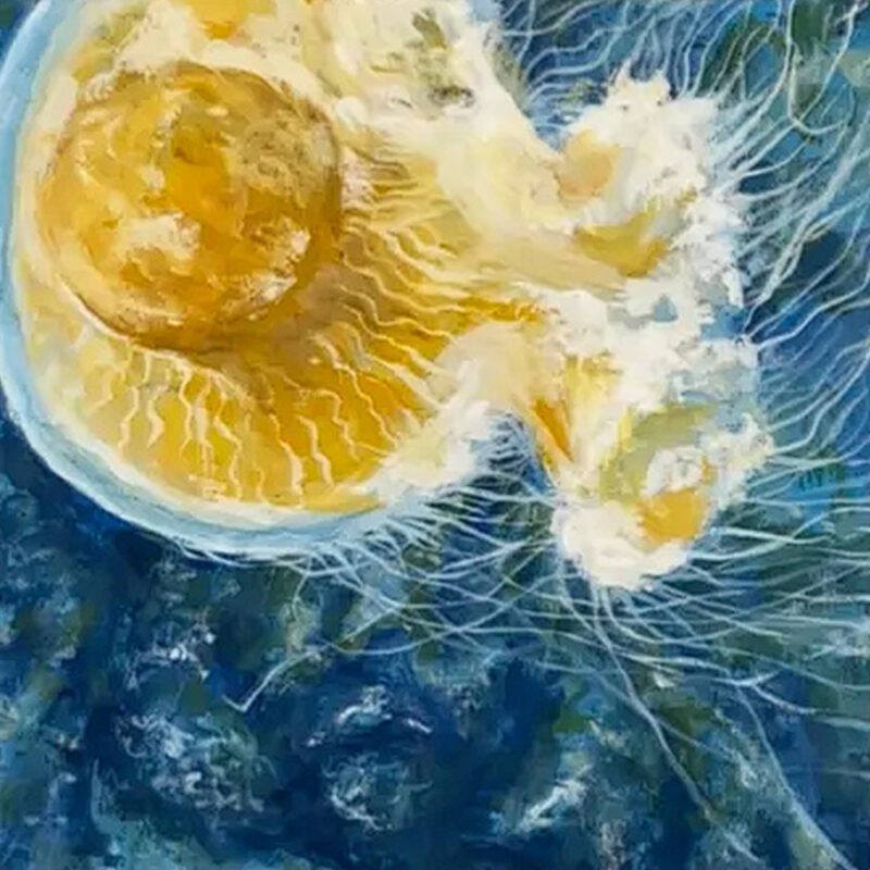 FRIED EGG JELLYFISH (8"x 10") - Image 2