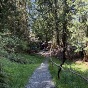 whichbetty-retreat-4